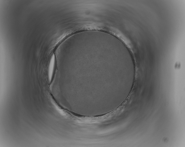 X0000097000009200802081454