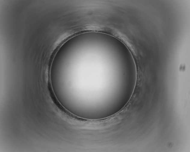 X0000097000011200802081454