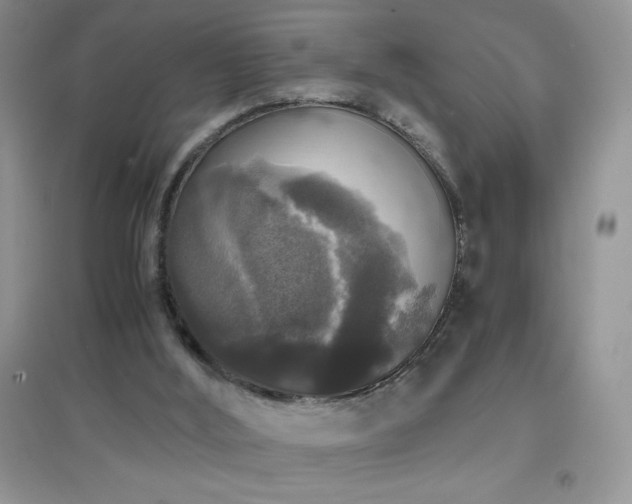 X0000097000012200802081454