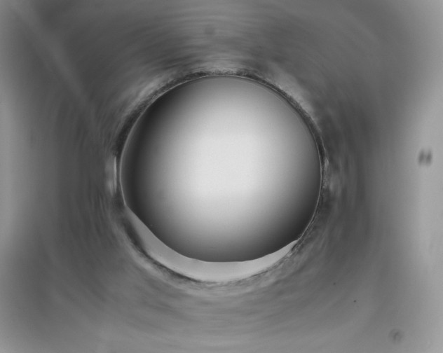 X0000097000013200802081454