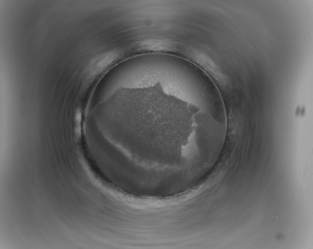 X0000097000014200802081454