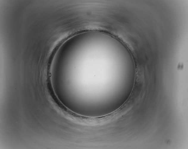 X0000097000015200802081454