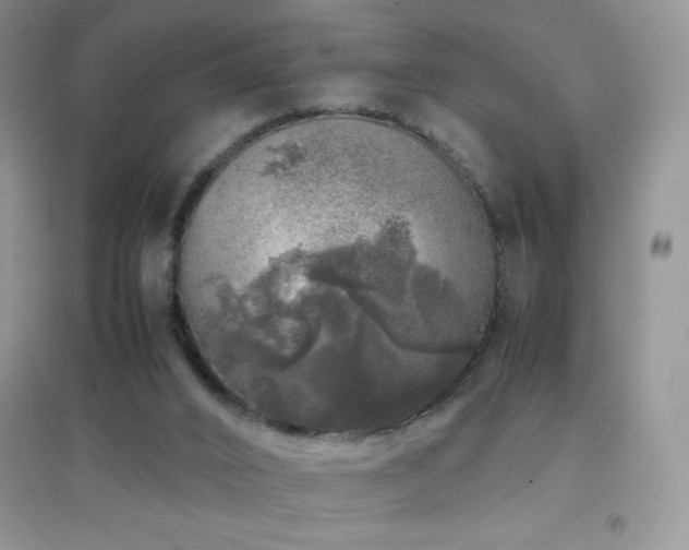 X0000097000016200802081454