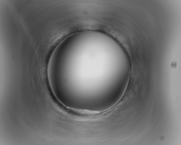 X0000097000017200802081454