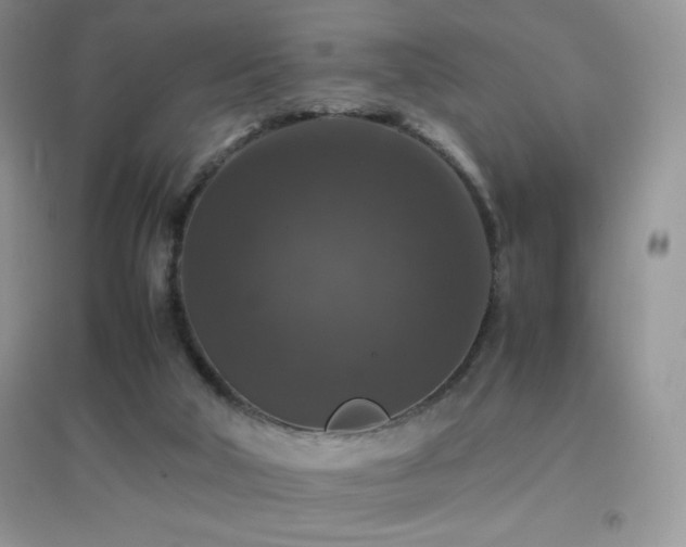 X0000097000018200802081454