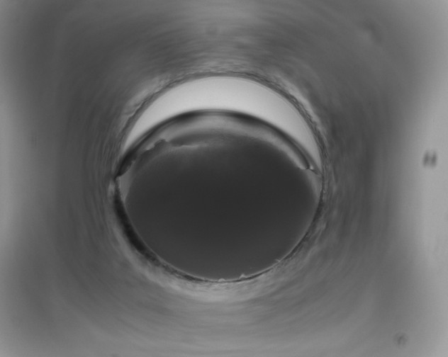 X0000097000019200802081454