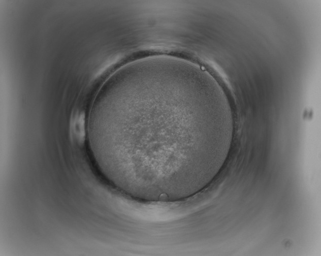 X0000097000020200802081454