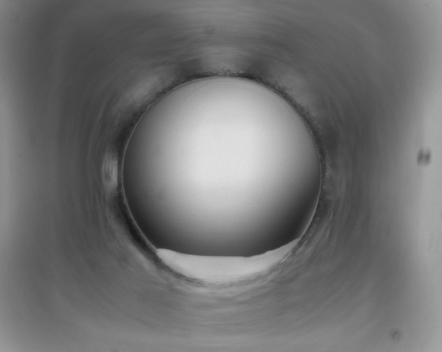 X0000097000021200802081454