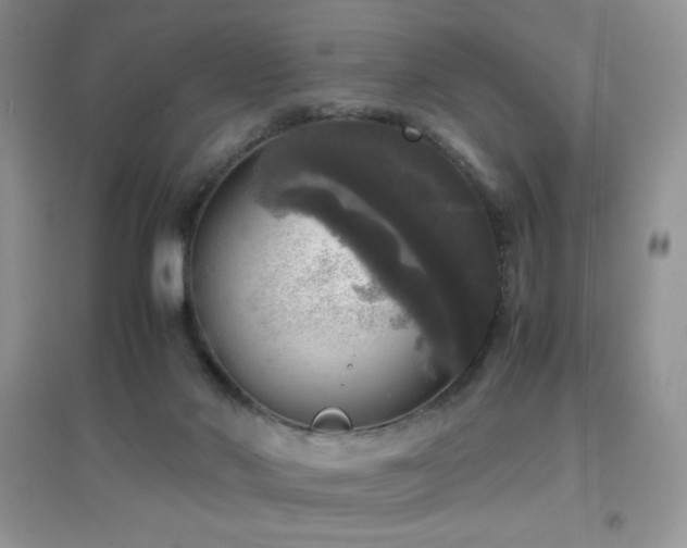 X0000097000022200802081454