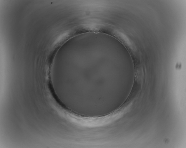 X0000097000023200802081454
