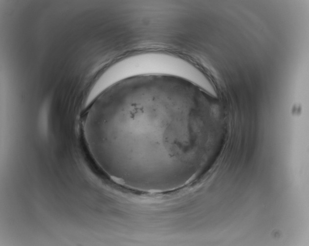 X0000097000024200802081454