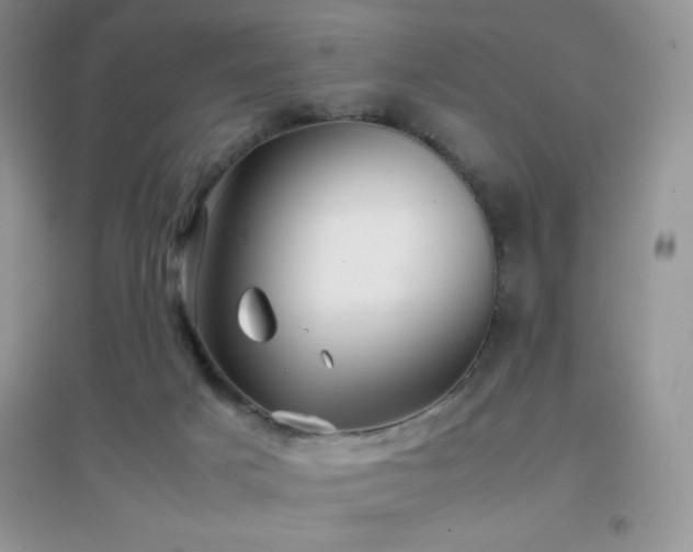 X0000097000025200802081454