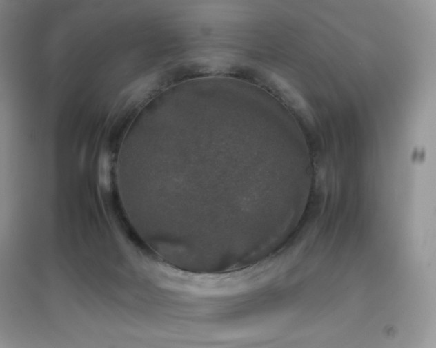 X0000097000026200802081454