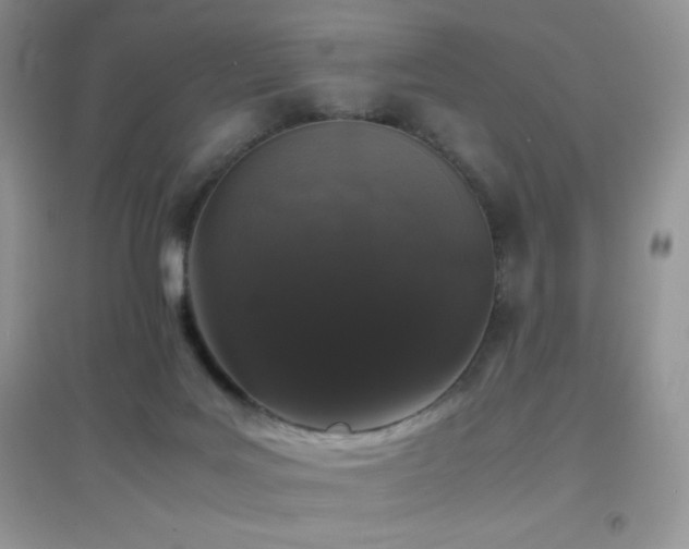 X0000097000027200802081454