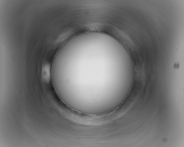 X0000097000028200802081454