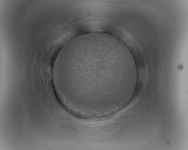 X0000097000029200802081454