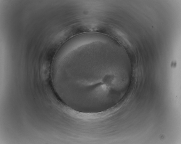 X0000097000030200802081454