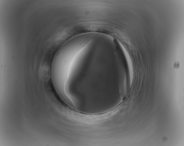 X0000097000031200802081454