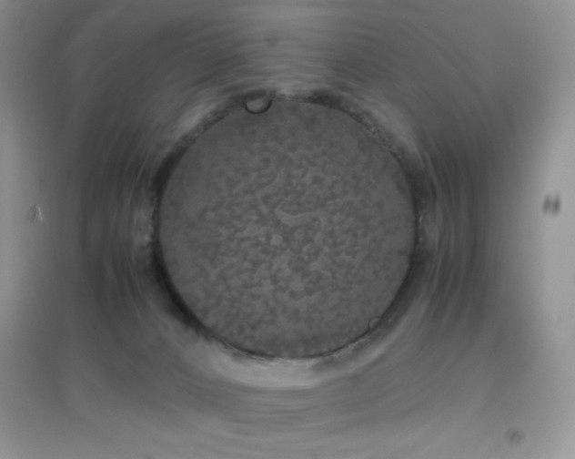 X0000097000032200802081454