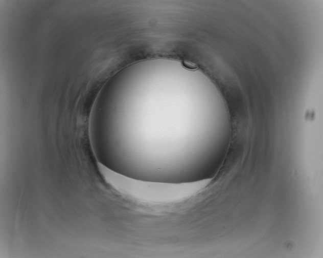 X0000097000033200802081454