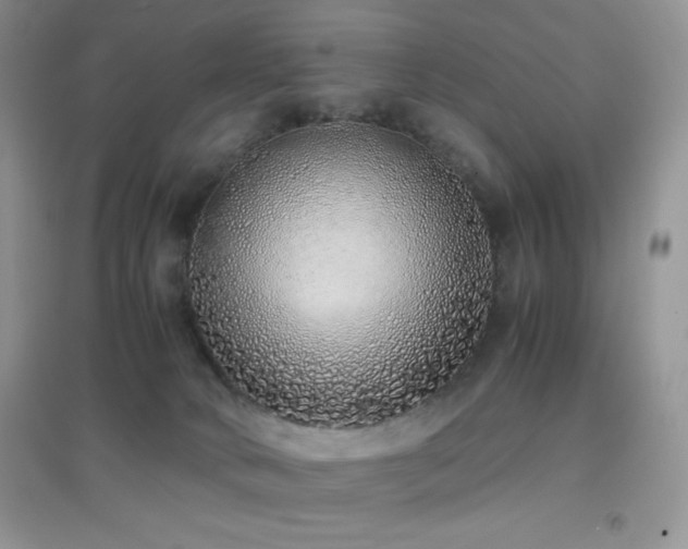 X0000097000034200802081454