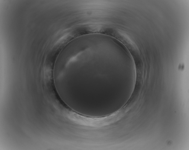 X0000097000035200802081454