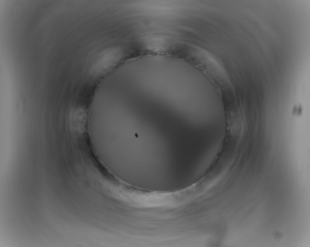X0000097000036200802081454