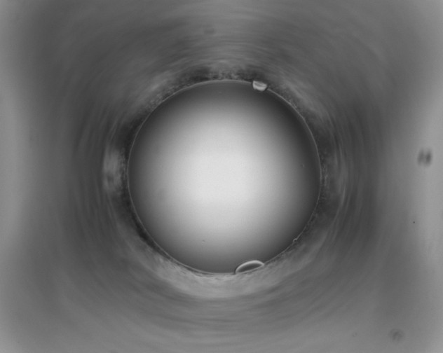 X0000097000038200802081454