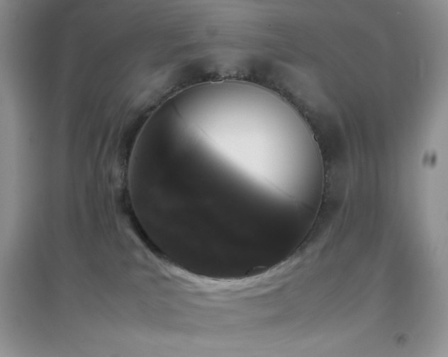 X0000097000039200802081454