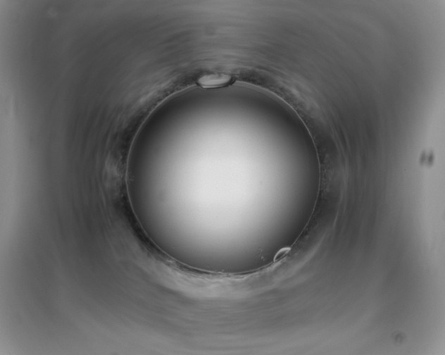 X0000097000040200802081454