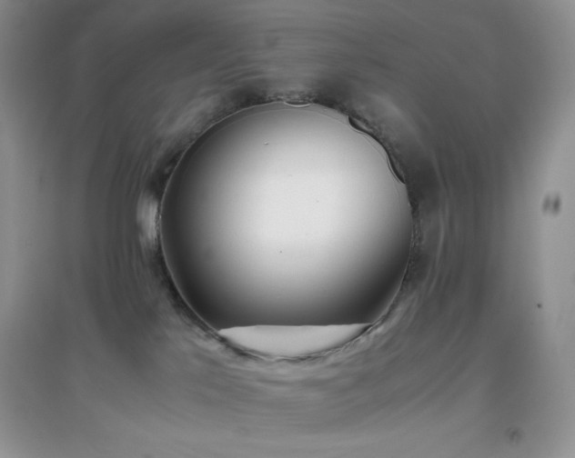 X0000097000041200802081454