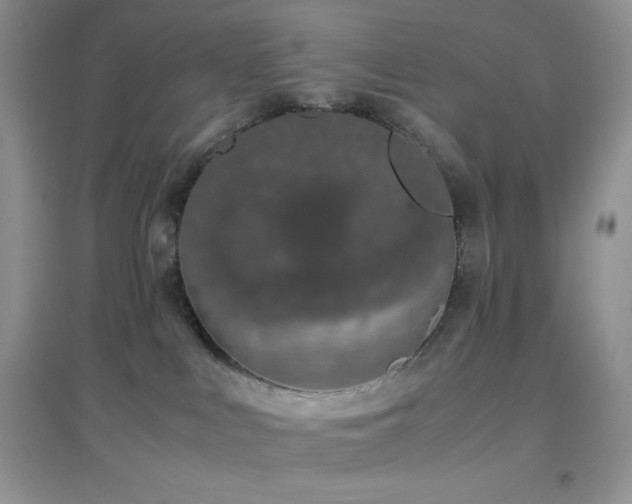 X0000097000043200802081454