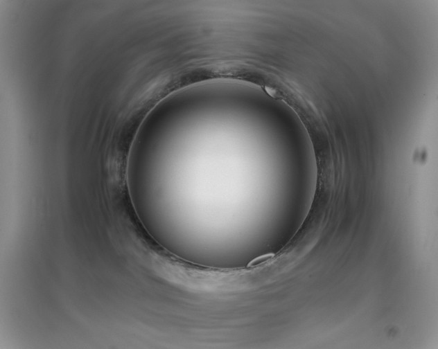 X0000097000044200802081454