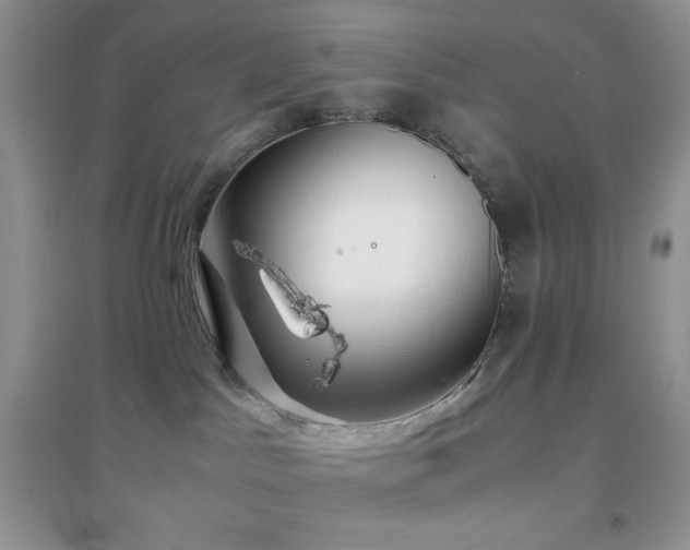 X0000097000045200802081454