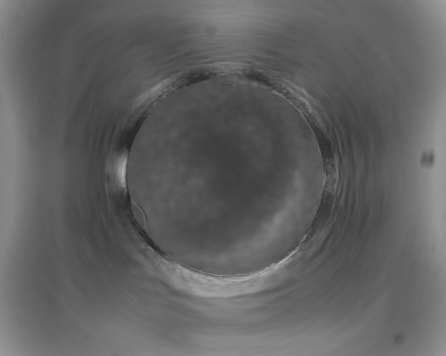 X0000097000047200802081454