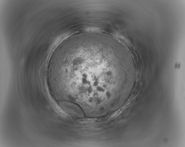 X0000097000049200802081453