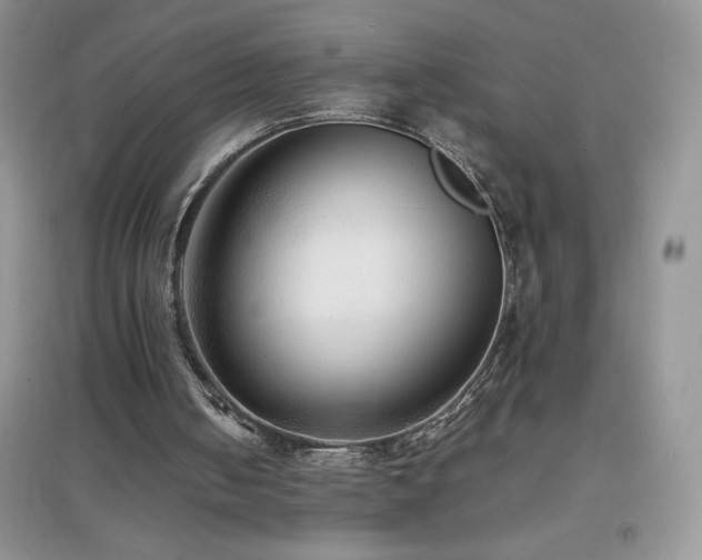 X0000097000050200802081453