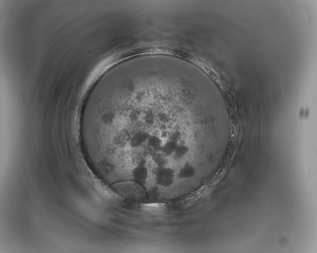 X0000097000053200802081453