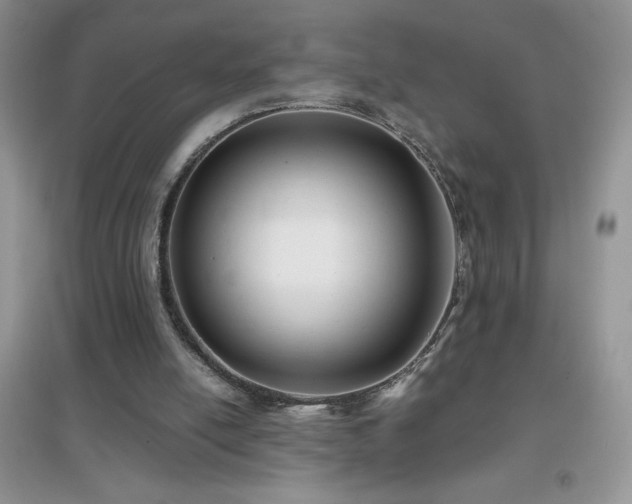 X0000097000054200802081453
