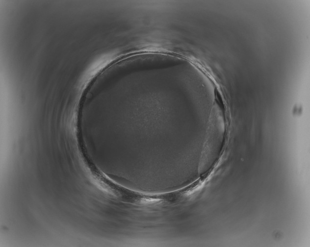 X0000097000055200802081453