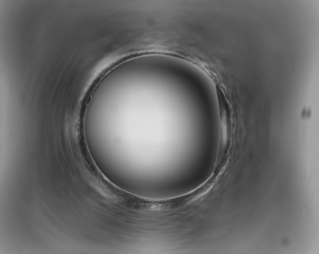 X0000097000056200802081453