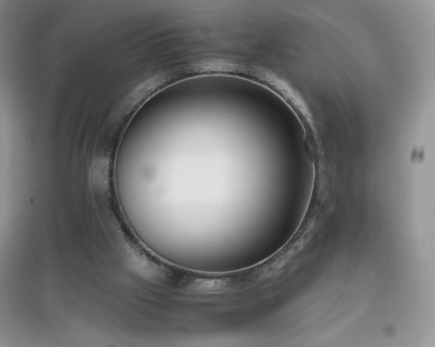 X0000097000057200802081453