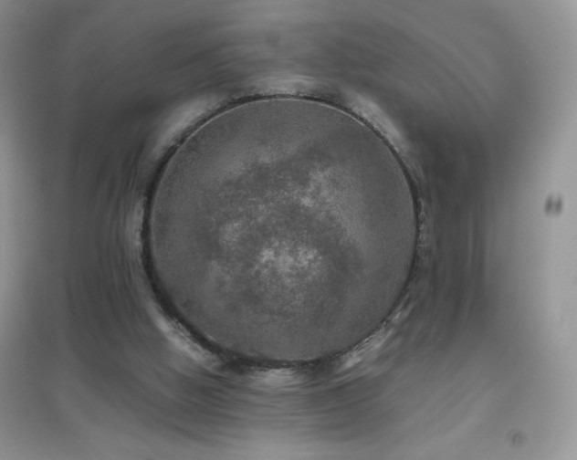 X0000097000058200802081453
