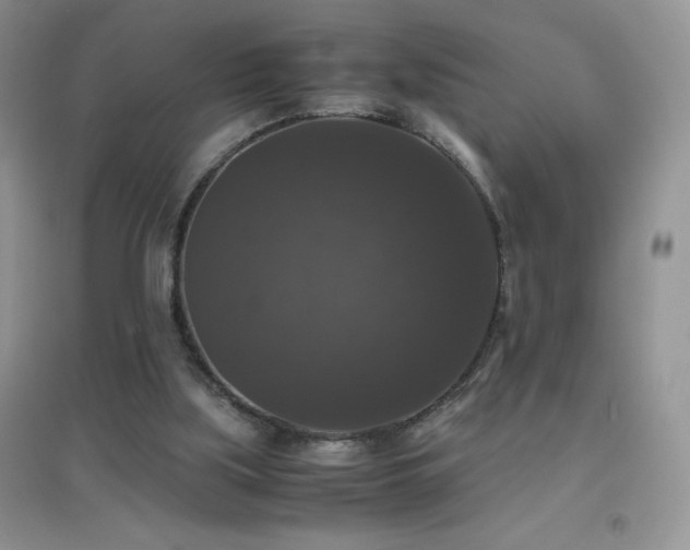 X0000097000059200802081453
