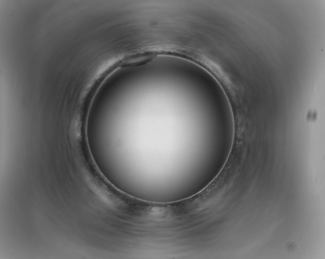 X0000097000060200802081453