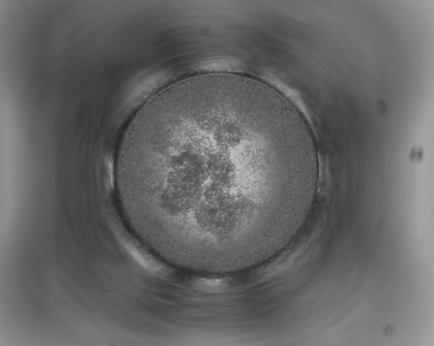 X0000097000061200802081453