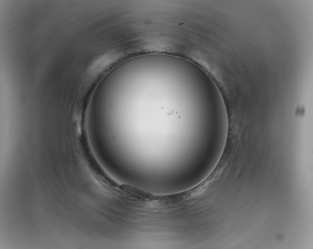 X0000097000062200802081453