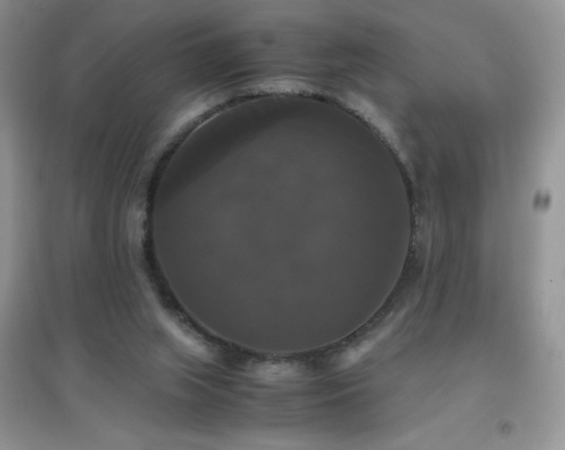 X0000097000063200802081453