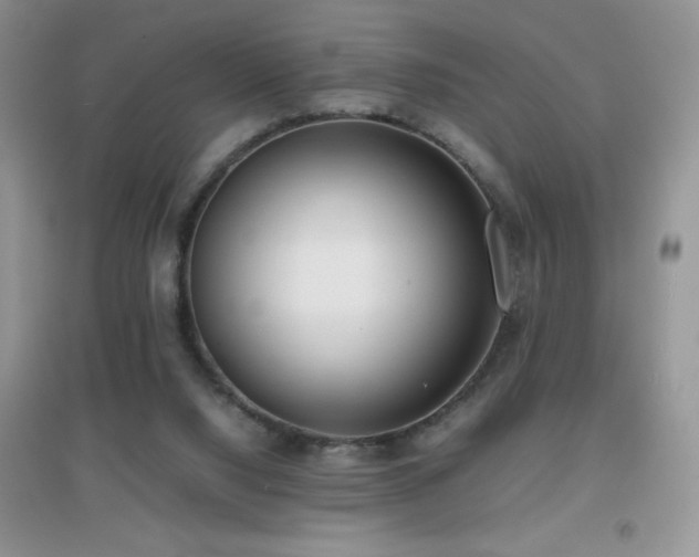 X0000097000064200802081453