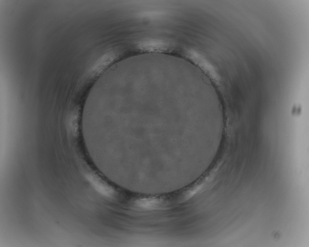 X0000097000065200802081453